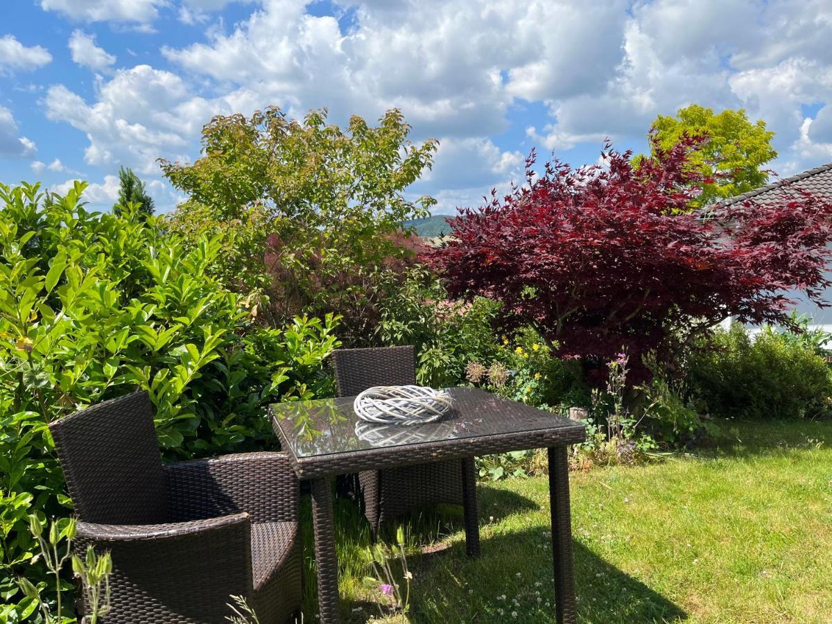 Apartament Spitzenbergblick Reichensachsen Zewnętrze zdjęcie